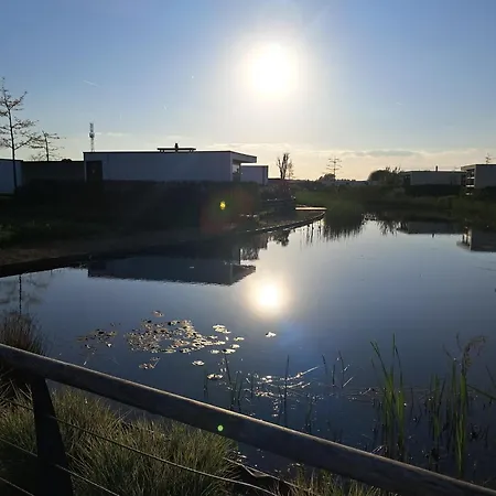 Marina Strandbad Land In Sicht Mit Zaun Haus Nr 81 * Olburgen